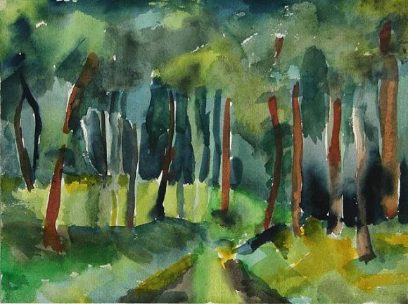 Waldweg Naturpark Barnim